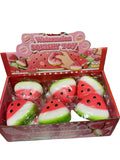 [Pre-order] Watermelon Squishy